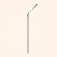 Stainless Steel Straw